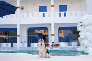 Zona piscina con un cane seduto accanto alla vasca, un edificio bianco con dettagli blu e una formazione rocciosa bianca.