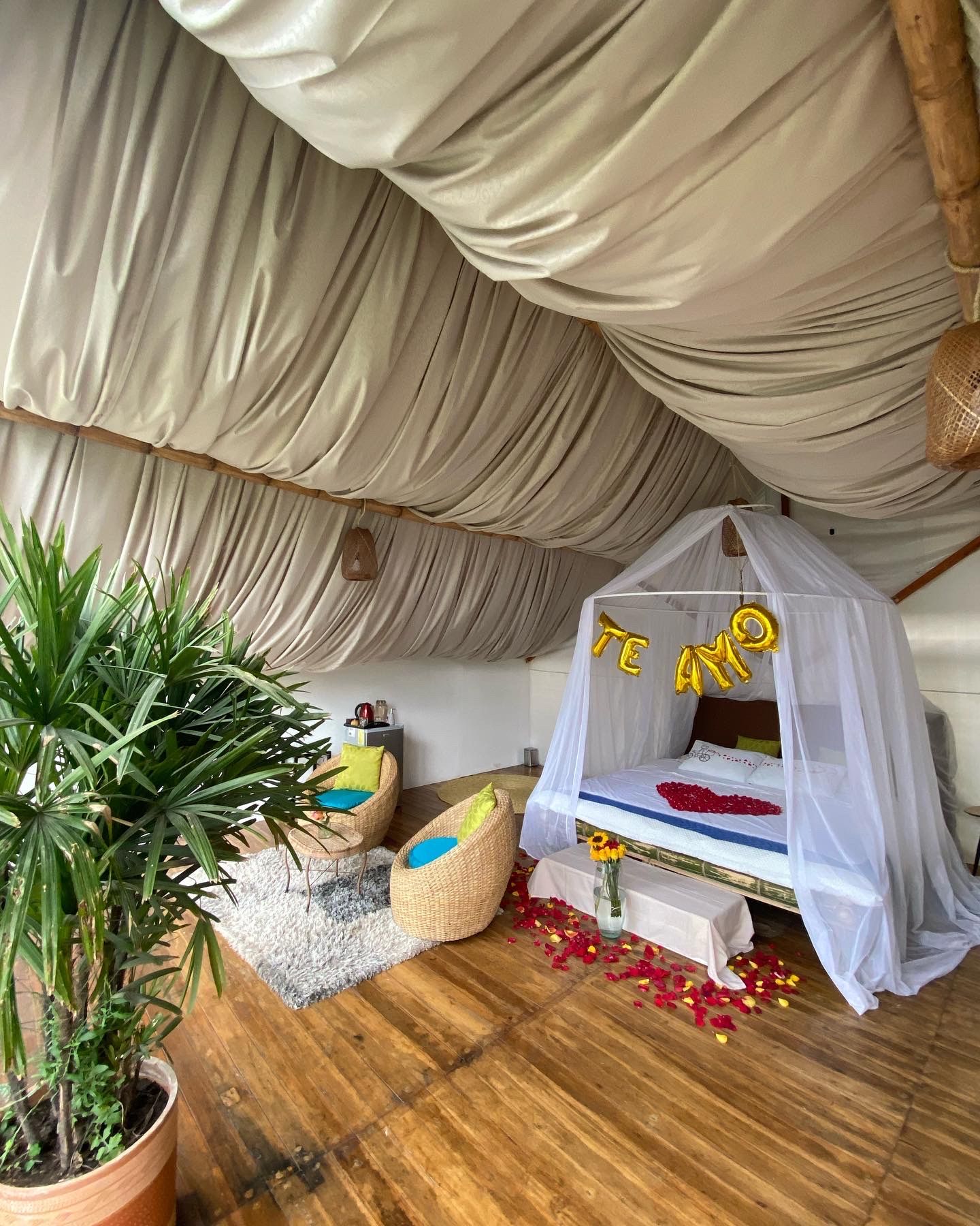 A cozy room with a canopy bed, a potted plant, and a small seating area.