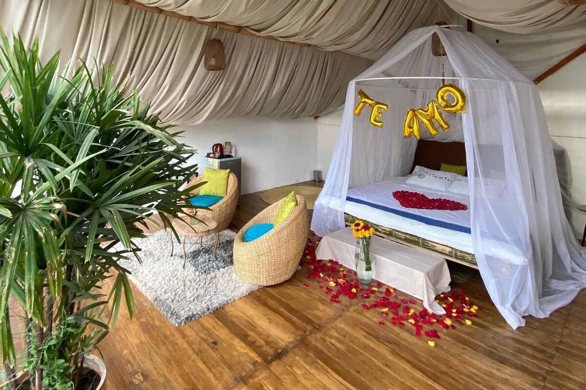 A cozy room with a canopy bed, a potted plant, and a small seating area.