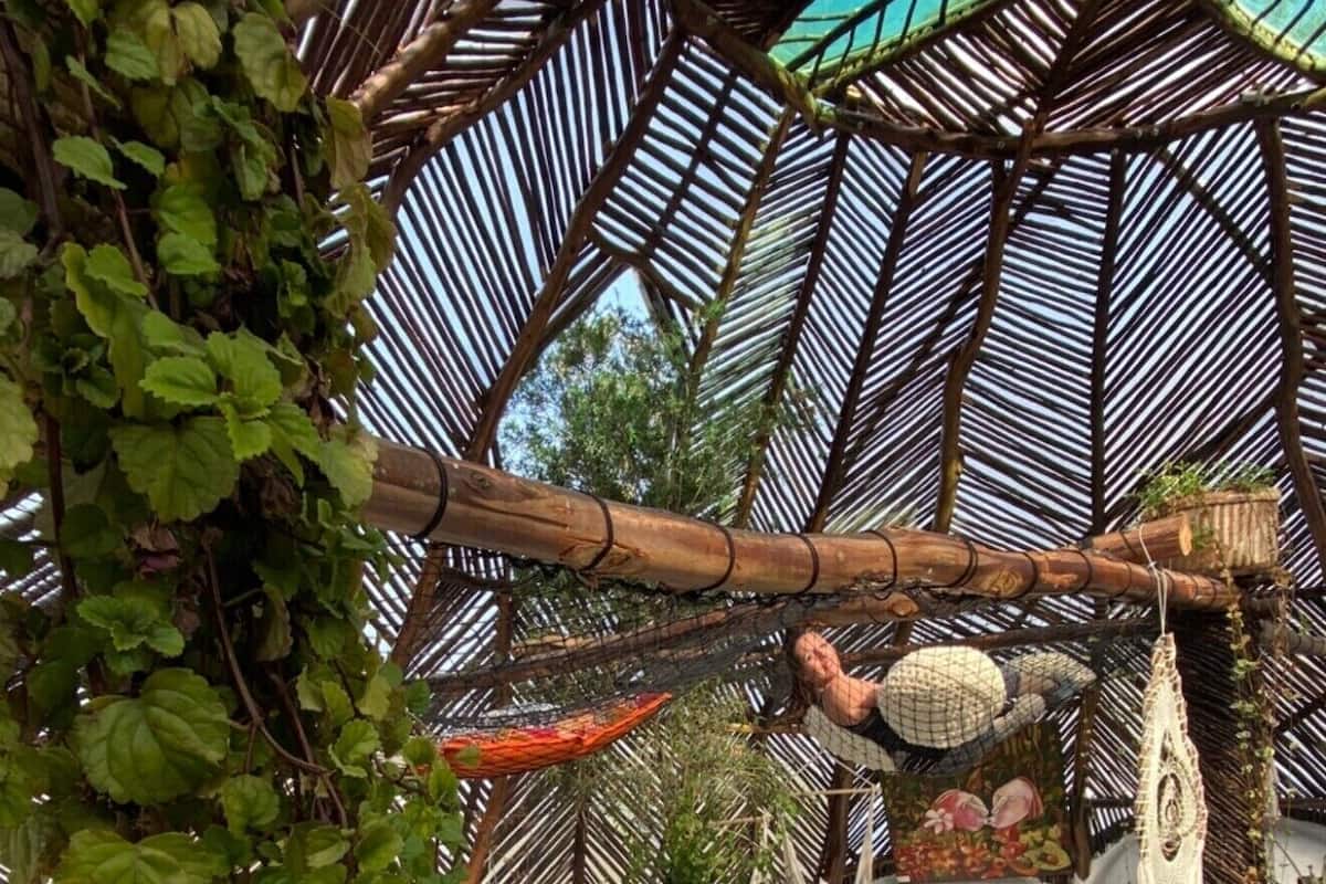 A covered outdoor area with a thatched roof, bamboo structures, and various potted plants.