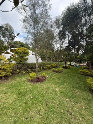A well-maintained garden with various shrubs and a lawn. - Samay Collections (Tababela)