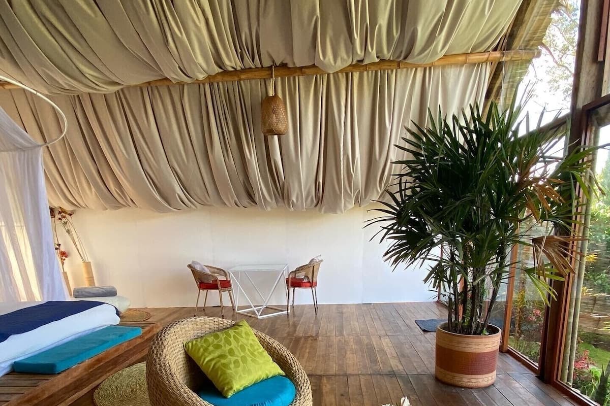 A spacious room with a large potted plant, wicker furniture, and a view through large windows.
