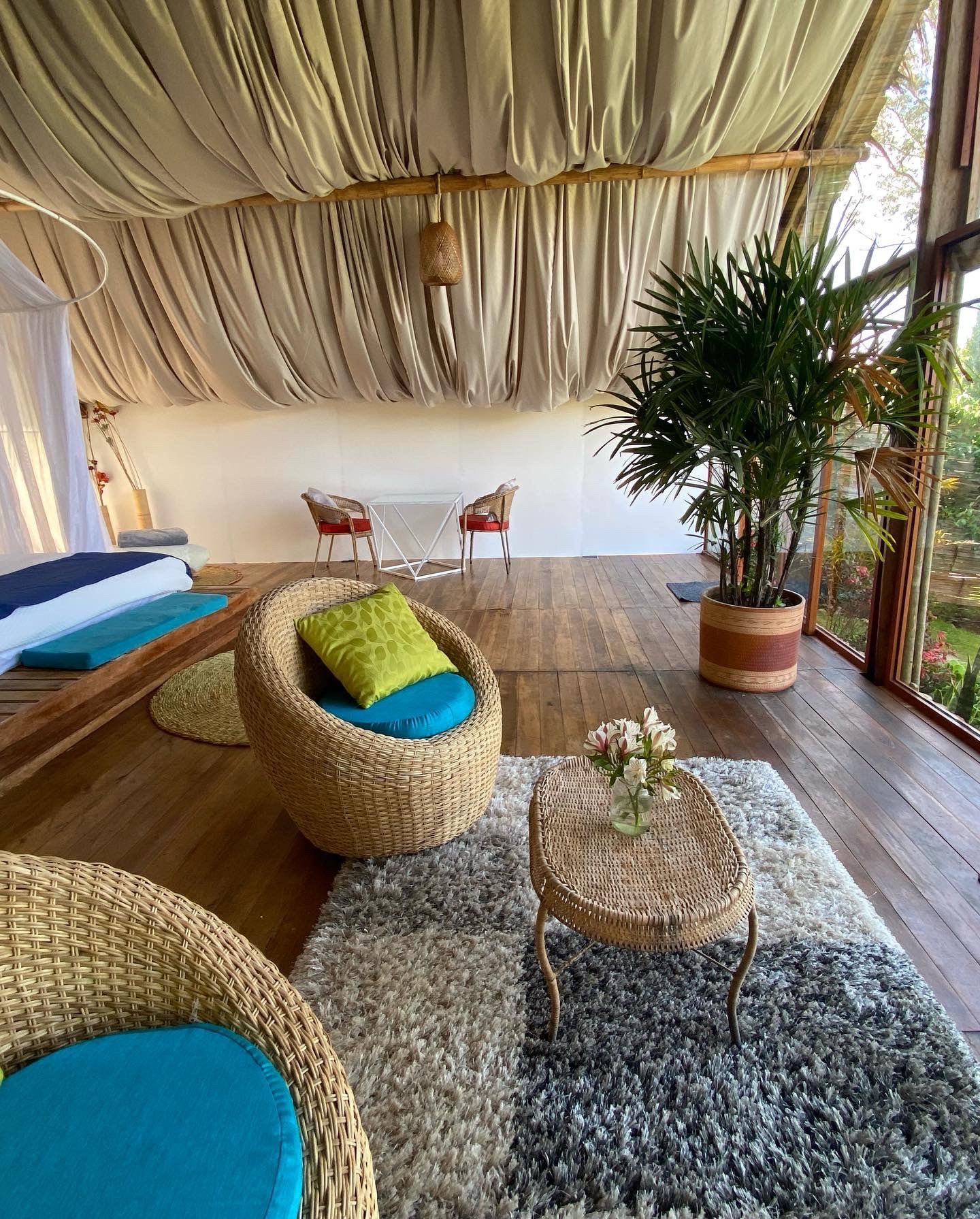 A spacious room with a large potted plant, wicker furniture, and a view through large windows.