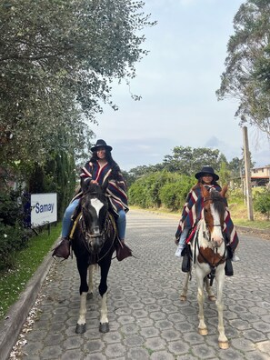 Deux personnes à cheval sur un chemin pavé, avec des arbres et un panneau indiquant « Samay Collections » en arrière-plan.