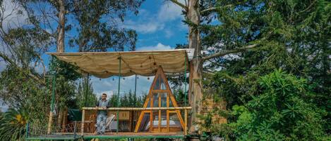 A treehouse with a wooden platform, a canopy, and a rope ladder.