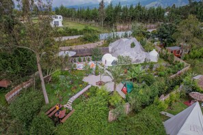 Room - Samay Collections (Pifo)