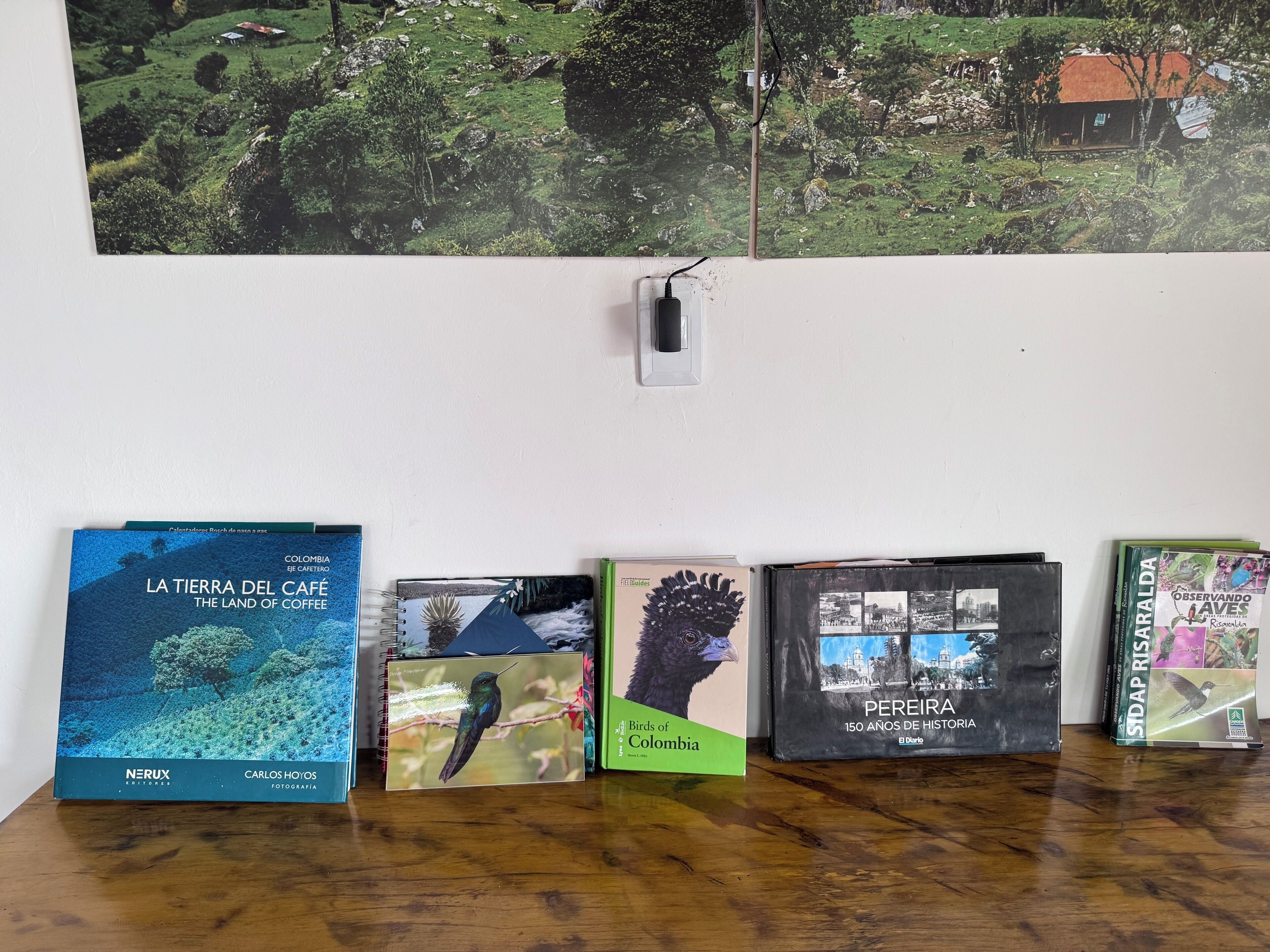 A collection of books on a wooden surface with a wall in the background.