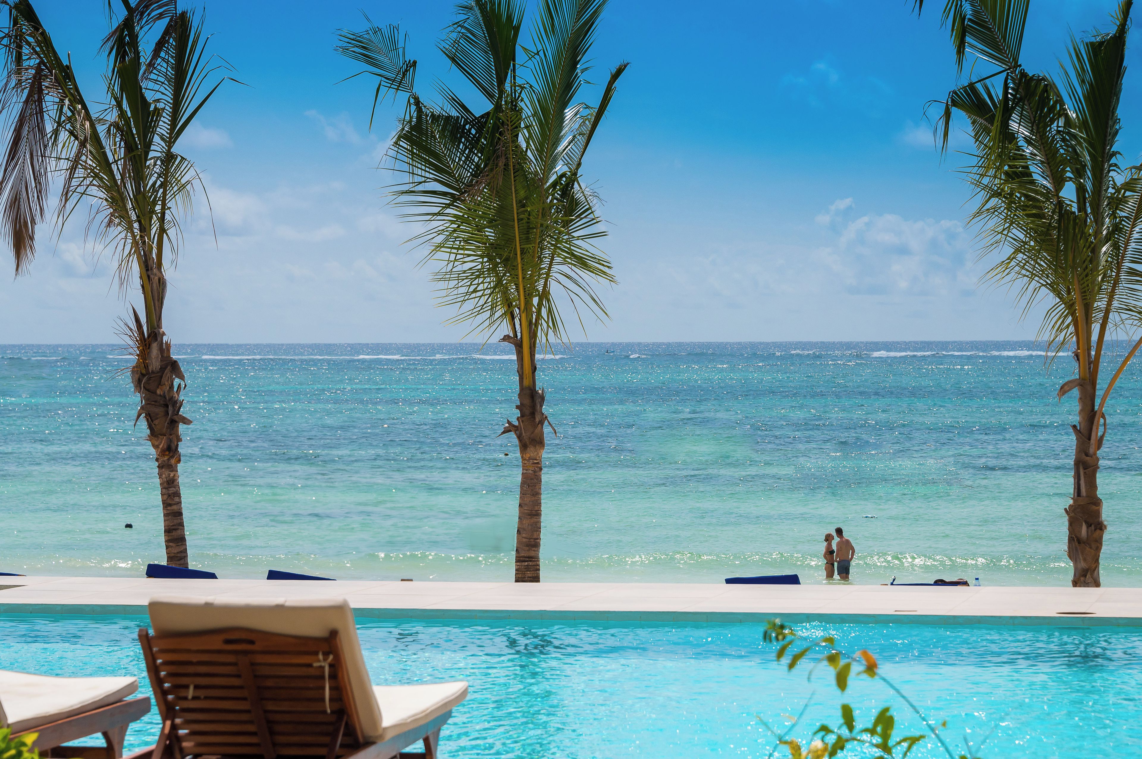 Vista de la piscina con palmeras y una vista despejada del océano.