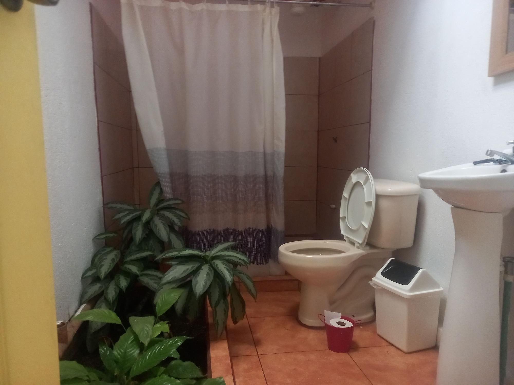A bathroom with a toilet, sink, shower curtain, and potted plants.