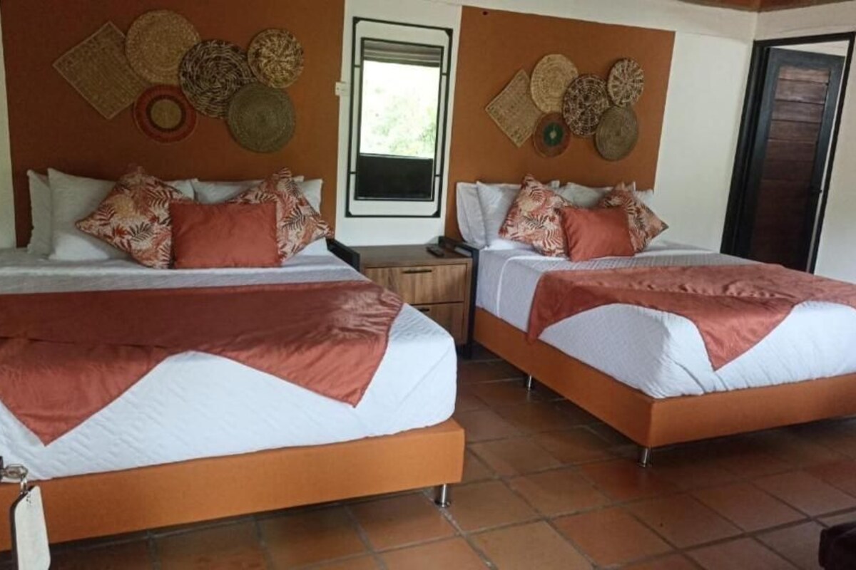 A hotel room with two beds, each with a brown bedspread and white linens. There are woven baskets on the wall above the beds.