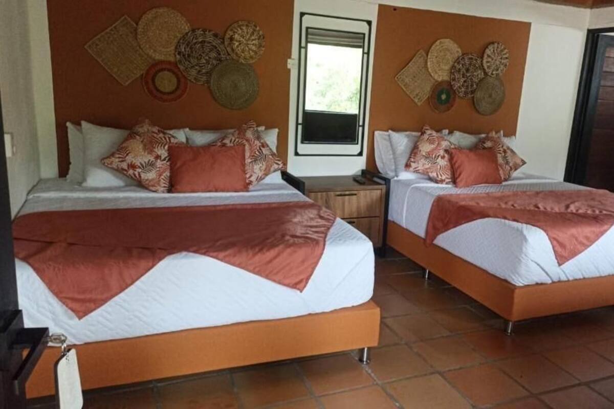 A hotel room with two beds, each with a brown bedspread and white linens. There are woven baskets on the wall above the beds.
