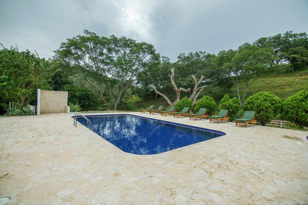 A swimming pool with a stone deck, surrounded by green lounge chairs and trees.