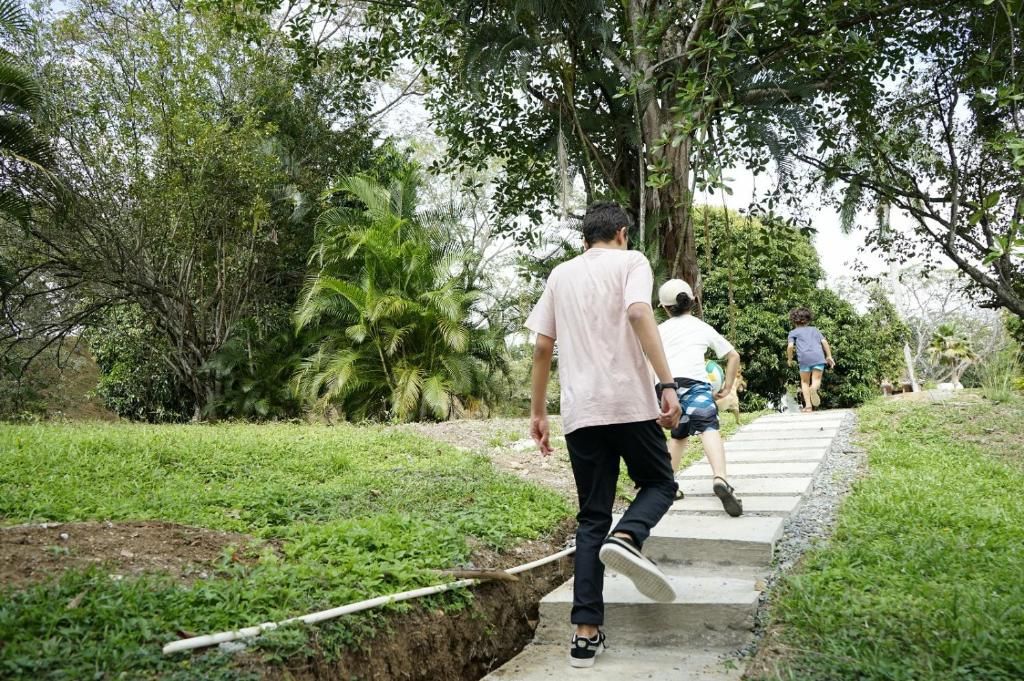 Un sendero en un parque con vegetación y árboles.