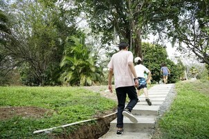 Un sendero en un parque con vegetación y árboles.