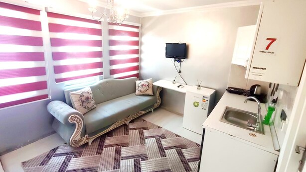 A compact living space with a sofa, a small kitchenette, a television mounted on the wall, and a patterned rug. - Taksim Capital Hotel (Istanbul)