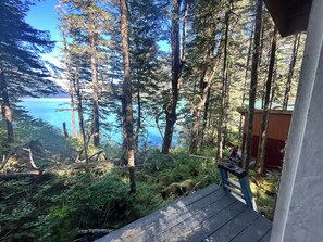 Un área boscosa con vista a un lago.