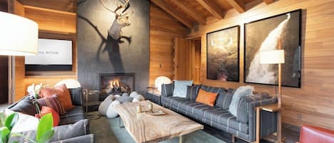 Smart TV, fireplace, books