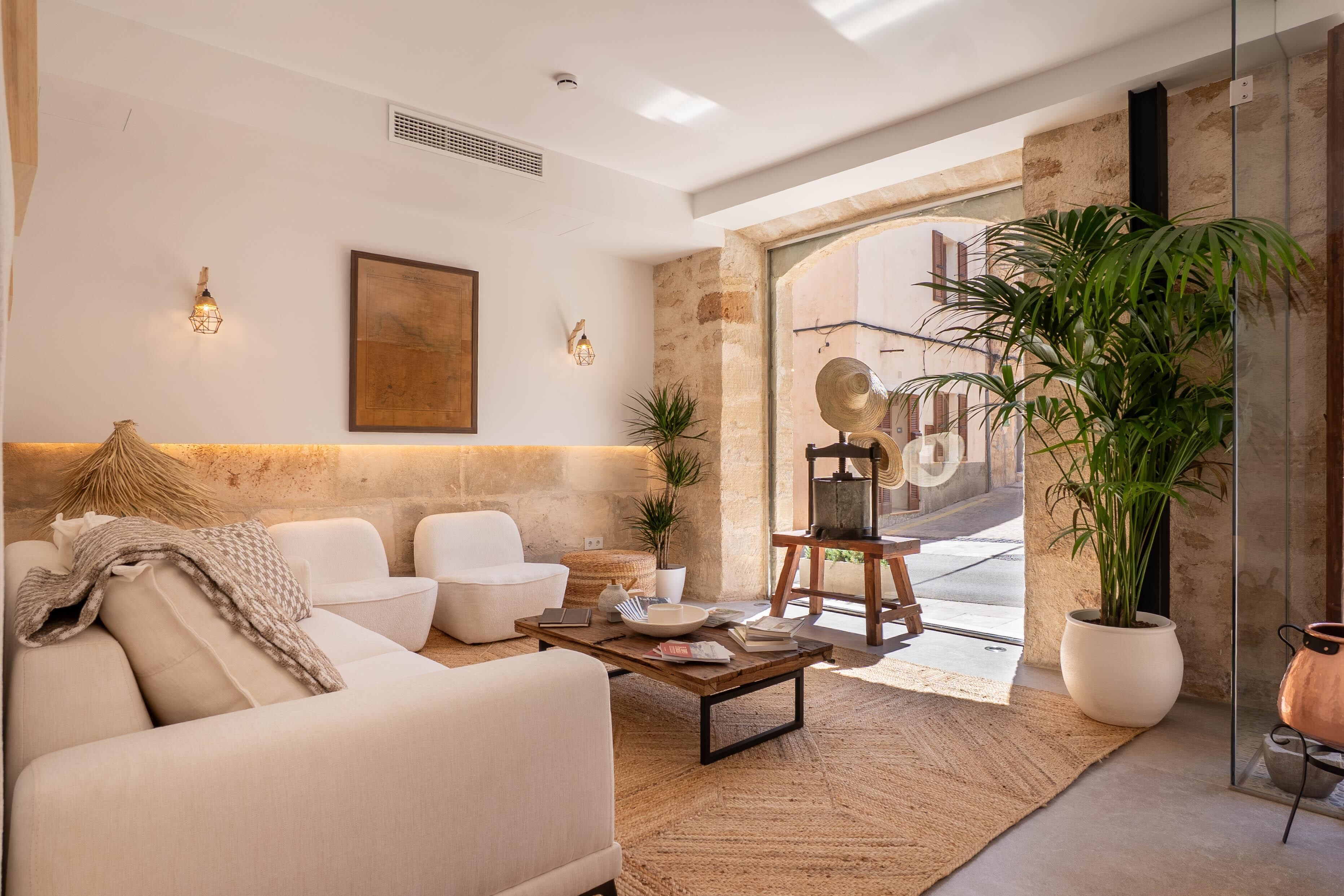 Una sala de estar moderna con un sofá, sillones, una mesita de centro y una planta grande en maceta.
