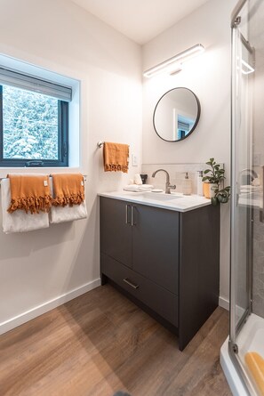 Shower, hair dryer, towels