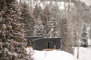 A cabin with a dark exterior, surrounded by snow-covered trees. - Tinwood Cabins The Descent, Cozy 3 min to Rossland (Rossland)