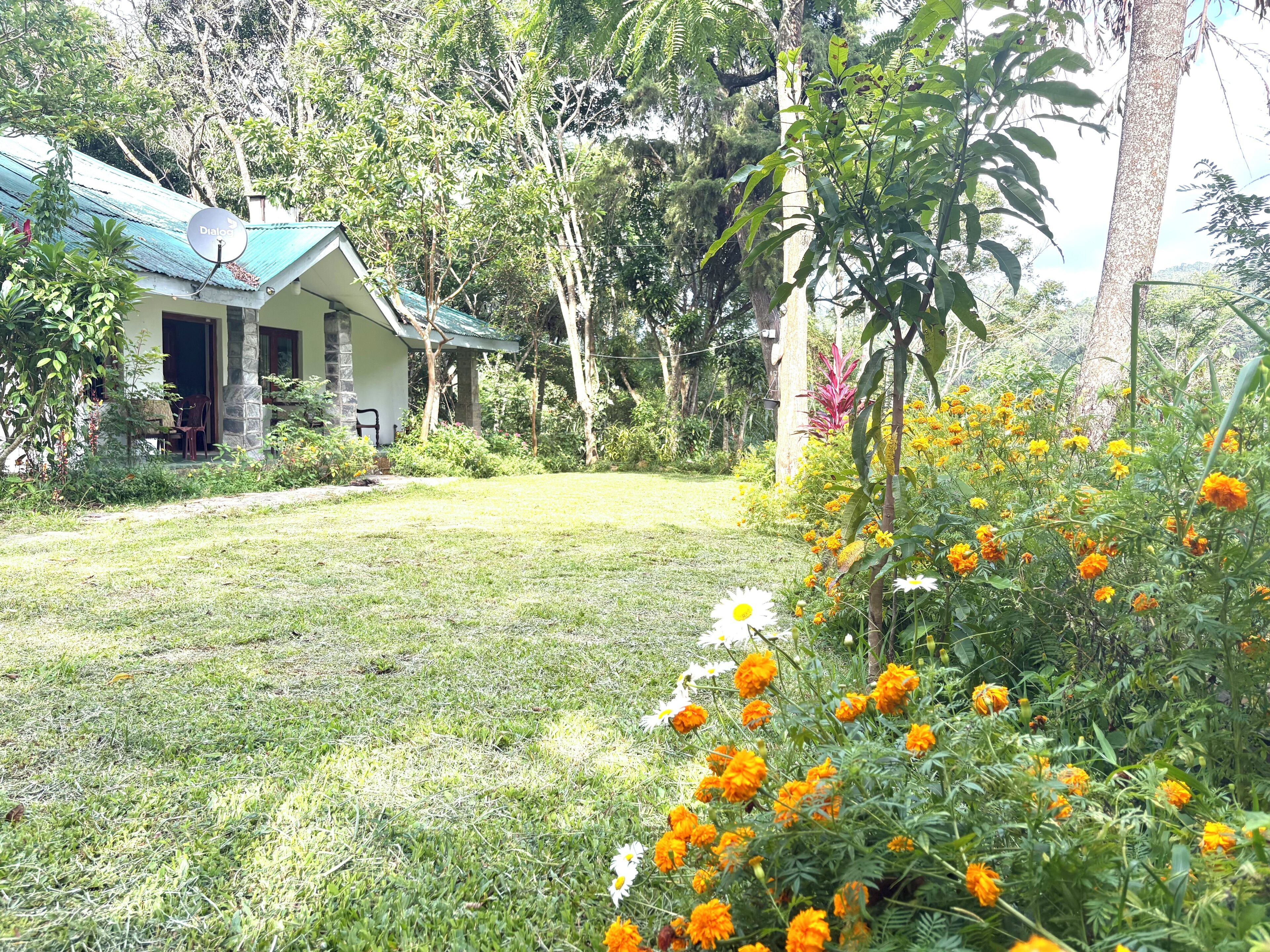 A house with a stone exterior, a green roof, and a lawn.