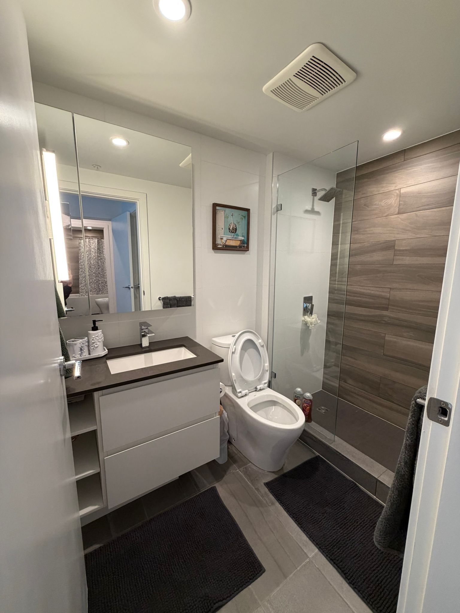 Secadora de cabello, toallas, jabón, papel de baño 