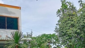 A two-story building with a balcony, surrounded by lush greenery and a palm tree. - Mountain View Hostel - Krabi Airport (Krabi)