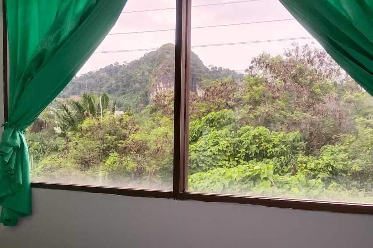 Une chambre avec un lit, des rideaux verts et une vue sur un paysage montagneux.