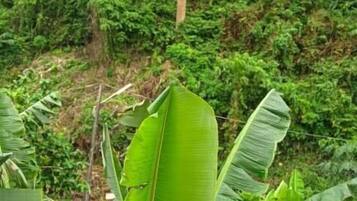 コンフォート ツインルーム ヒルビュー | その他