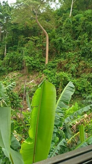 Comfort-Zweibettzimmer, Hügelblick | Verschiedenes