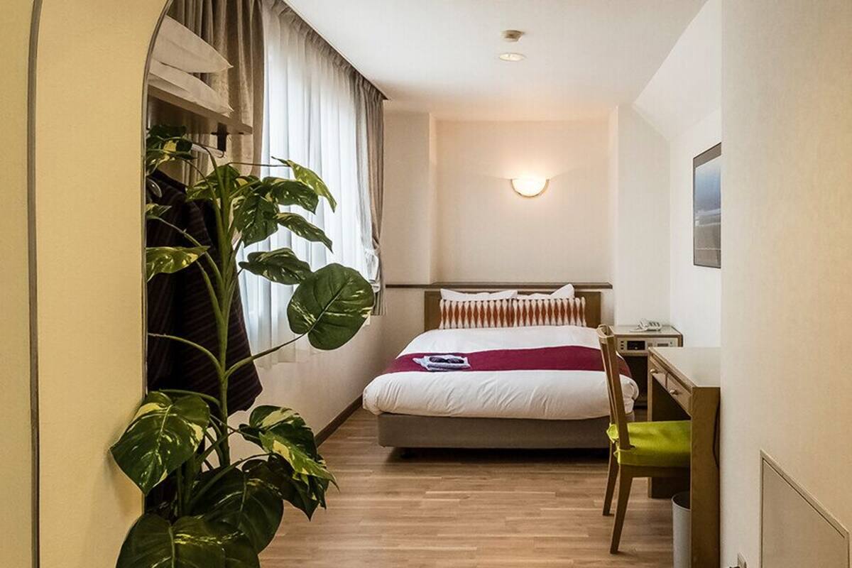 A compact hotel room with a bed, bedside table, chair, and a large potted plant.