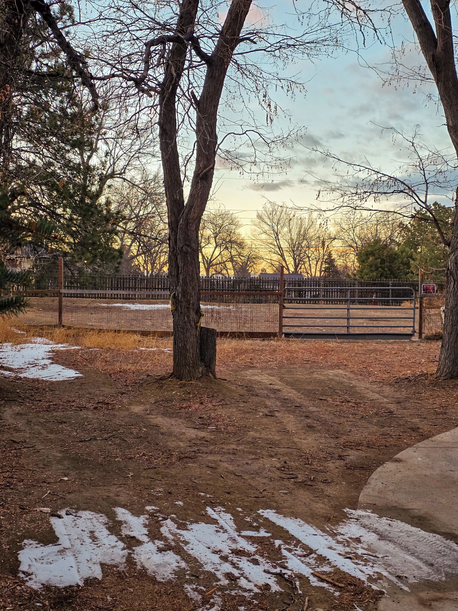 Terrain de l’hébergement 