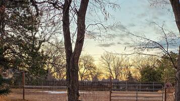 Terrain de l’hébergement