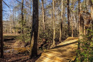 Property grounds - Hiker’s Haven: Cherokee National Forest Retreat! (Reliance)
