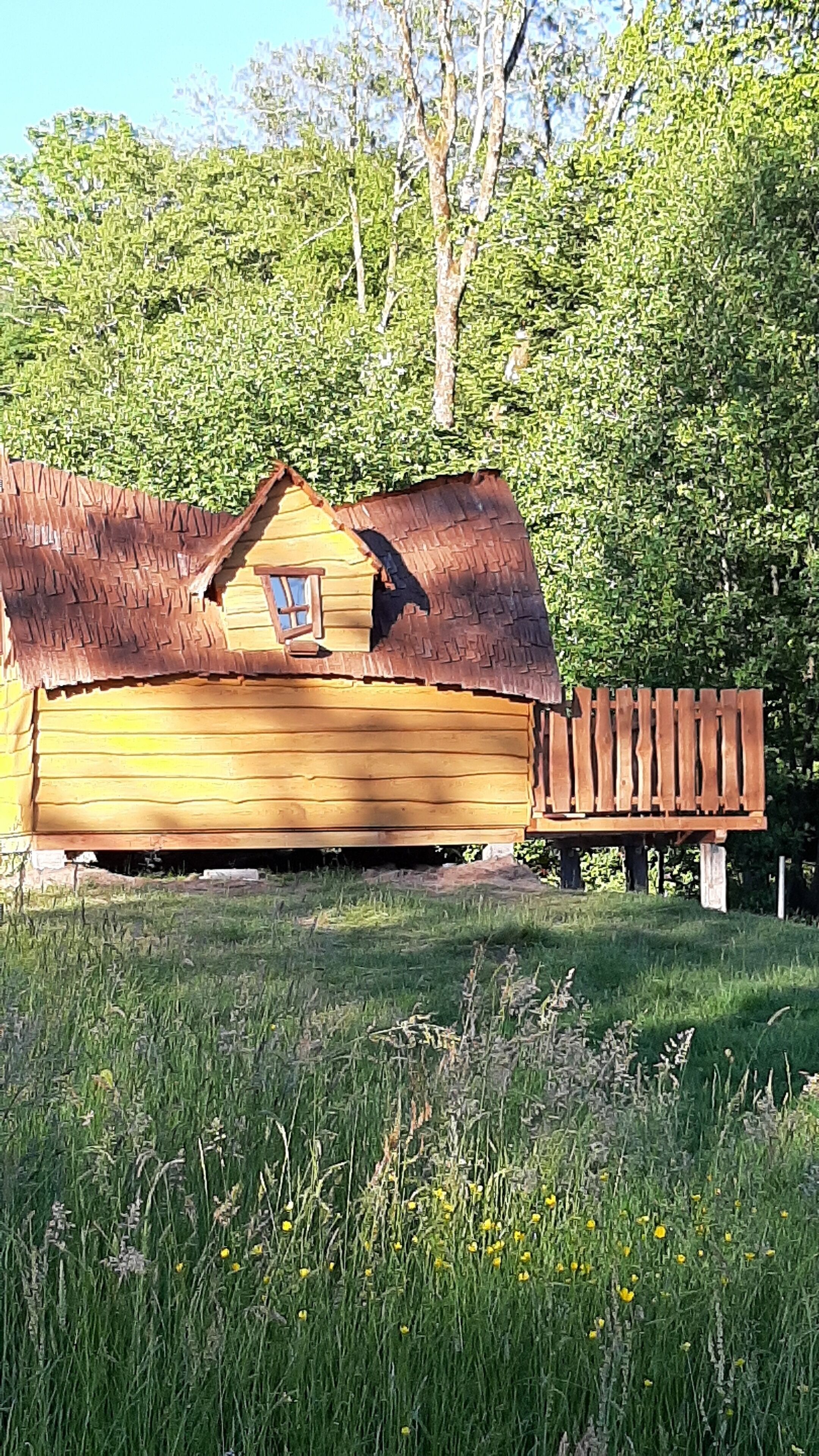 A rustic wooden cabin with a thatched roof, surrounded by a grassy field and dense trees.