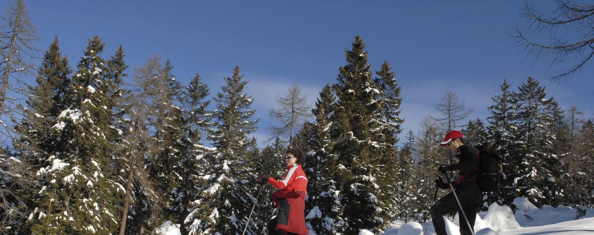 Deportes de invierno y ski