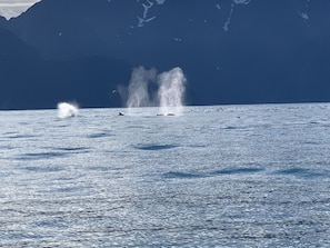 Nicht klassifiziertes Bild, 5 von 13, SchaltflÀche