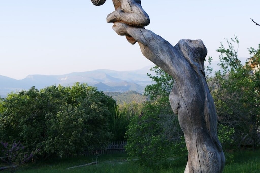 A sculpture of a twisted tree trunk in a natural setting with mountains in the background.