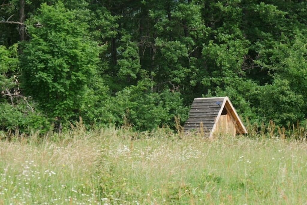 Una petita construcció de fusta en un camp herbaci amb arbres densos al fons.
