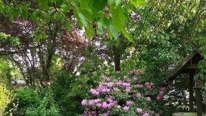 Une terrasse de jardin avec une table ronde et des chaises, entourée d’une végétation luxuriante et de plantes en fleurs.