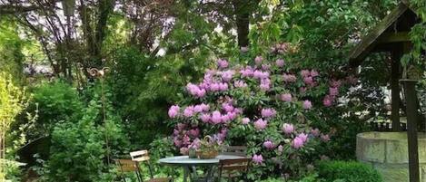 Un patio jardín con una mesa redonda y sillas, rodeado de abundante vegetación y plantas en flor.