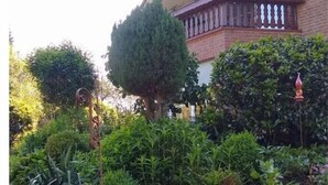 Un jardin résidentiel avec différentes plantes et un petit arbre.