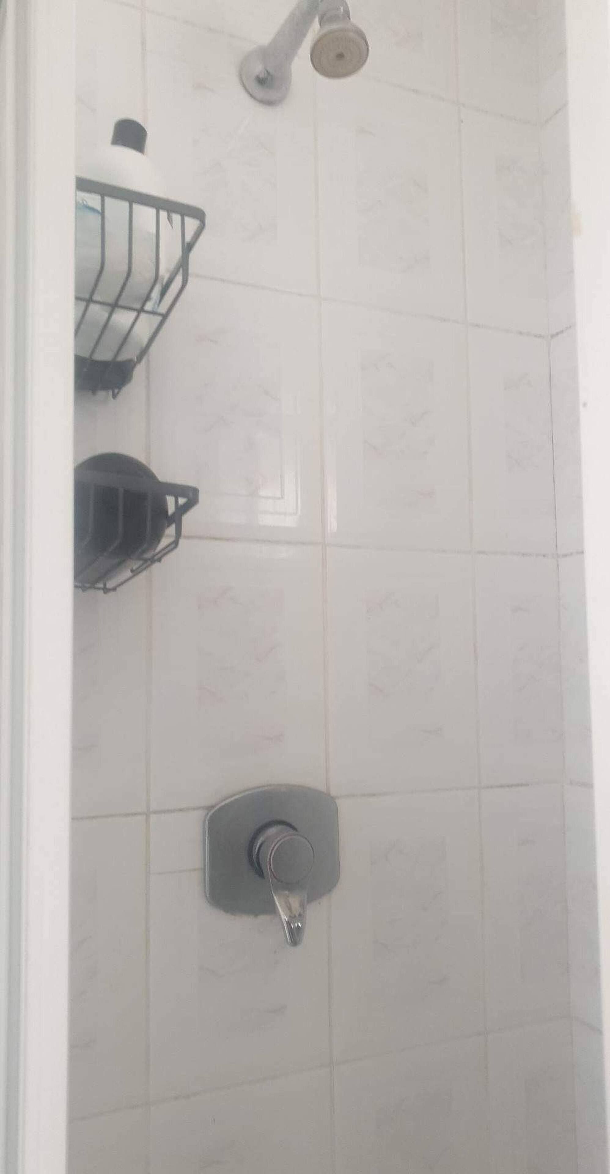Shower, hair dryer