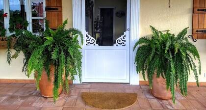 El Oasis Organic Farm