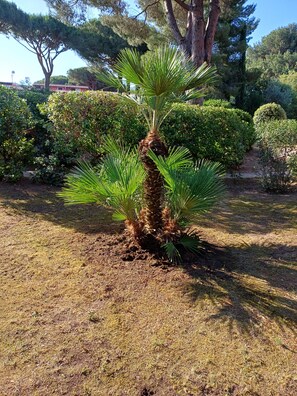 Overnattingsstedets uteområder