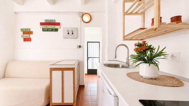Una cocina compacta con un lavamanos, una planta en maceta y un armario de madera.