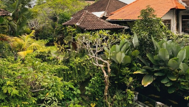 A lush garden with various plants and a small pond. - Putu's Paradise Ubud (Ubud)