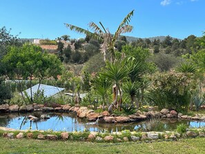 Property grounds - Finca Can Pepis (Sant Antoni de Portmany)
