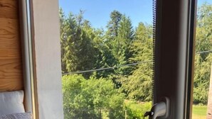 Un lit avec une tête de lit rembourrée de couleur grise et un oreiller, une fenêtre donnant sur un jardin et un petit bâtiment, et une porte avec une poignée.