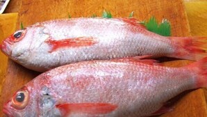 Dos peces sobre una tabla de madera.